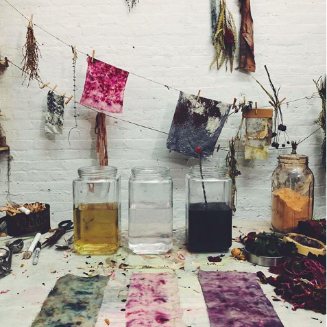 Bundle Dyeing With Healing and Foraged Flowers (HUDSON)